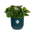 vibes fold rund mini 11cm tiefes blau